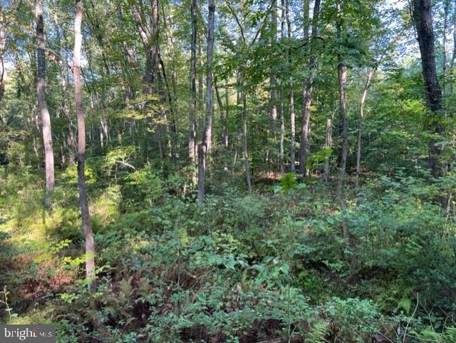 CHILESBURG RD, BEAVERDAM, Virginia 23015, ,Land,For sale,CHILESBURG RD,VACV2008350 MLS # VACV2008350