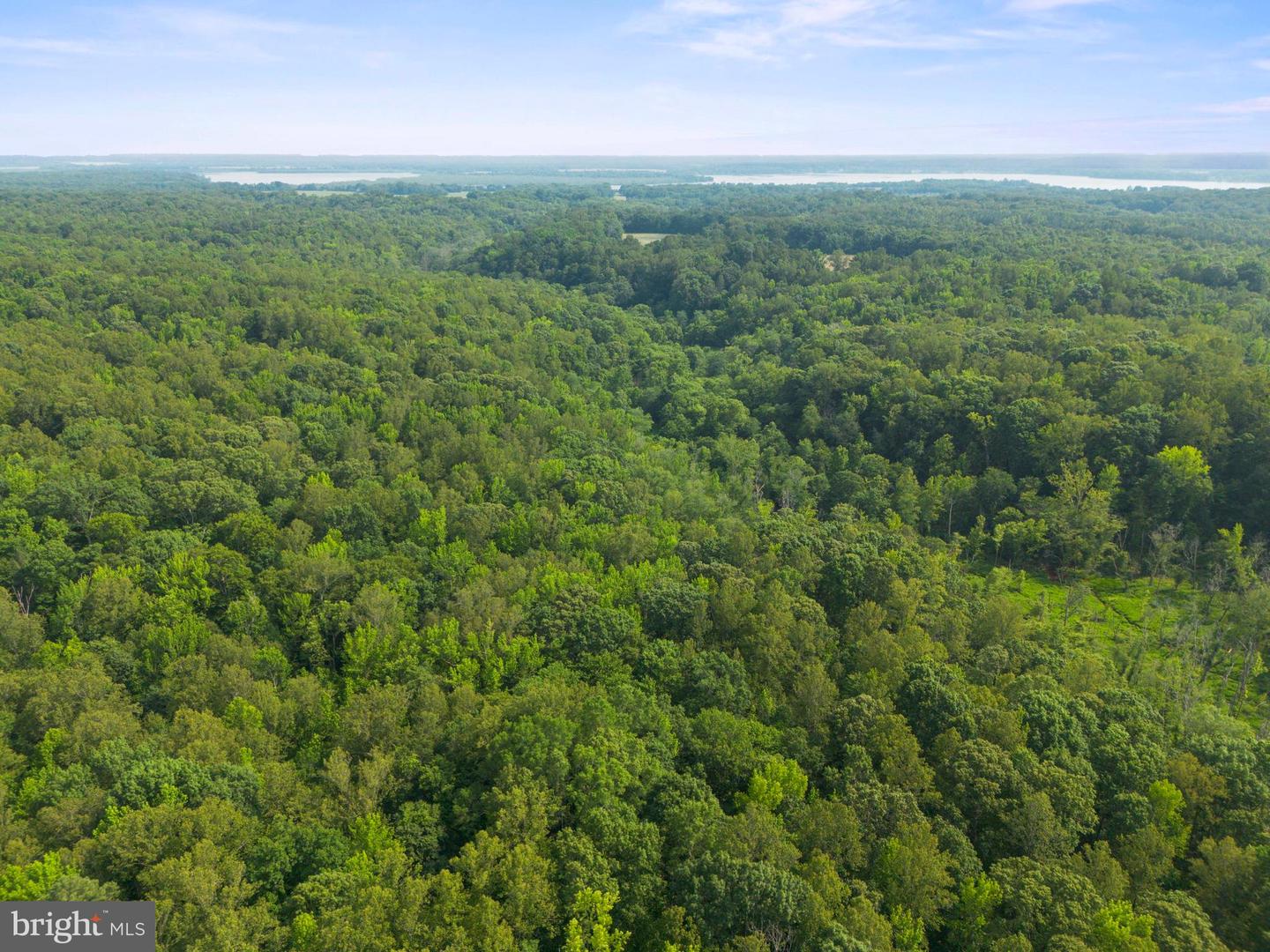 LOT 2 SALEM CHURCH RD, KING GEORGE, Virginia 22485, ,Land,For sale,LOT 2 SALEM CHURCH RD,VAKG2006638 MLS # VAKG2006638