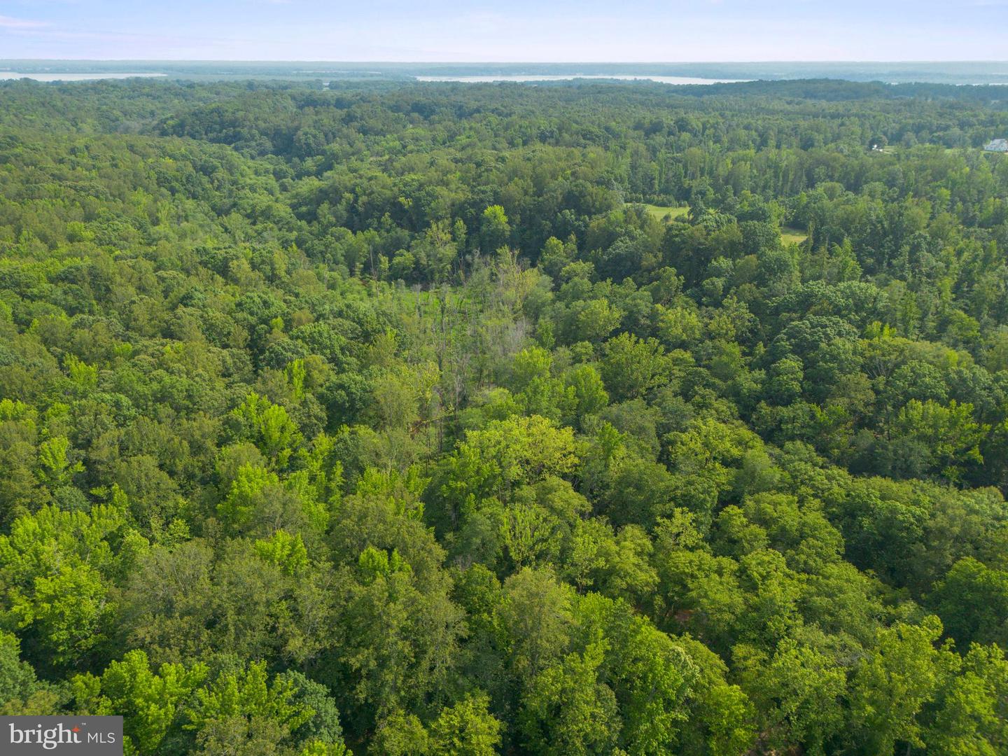 LOT 2 SALEM CHURCH RD, KING GEORGE, Virginia 22485, ,Land,For sale,LOT 2 SALEM CHURCH RD,VAKG2006638 MLS # VAKG2006638