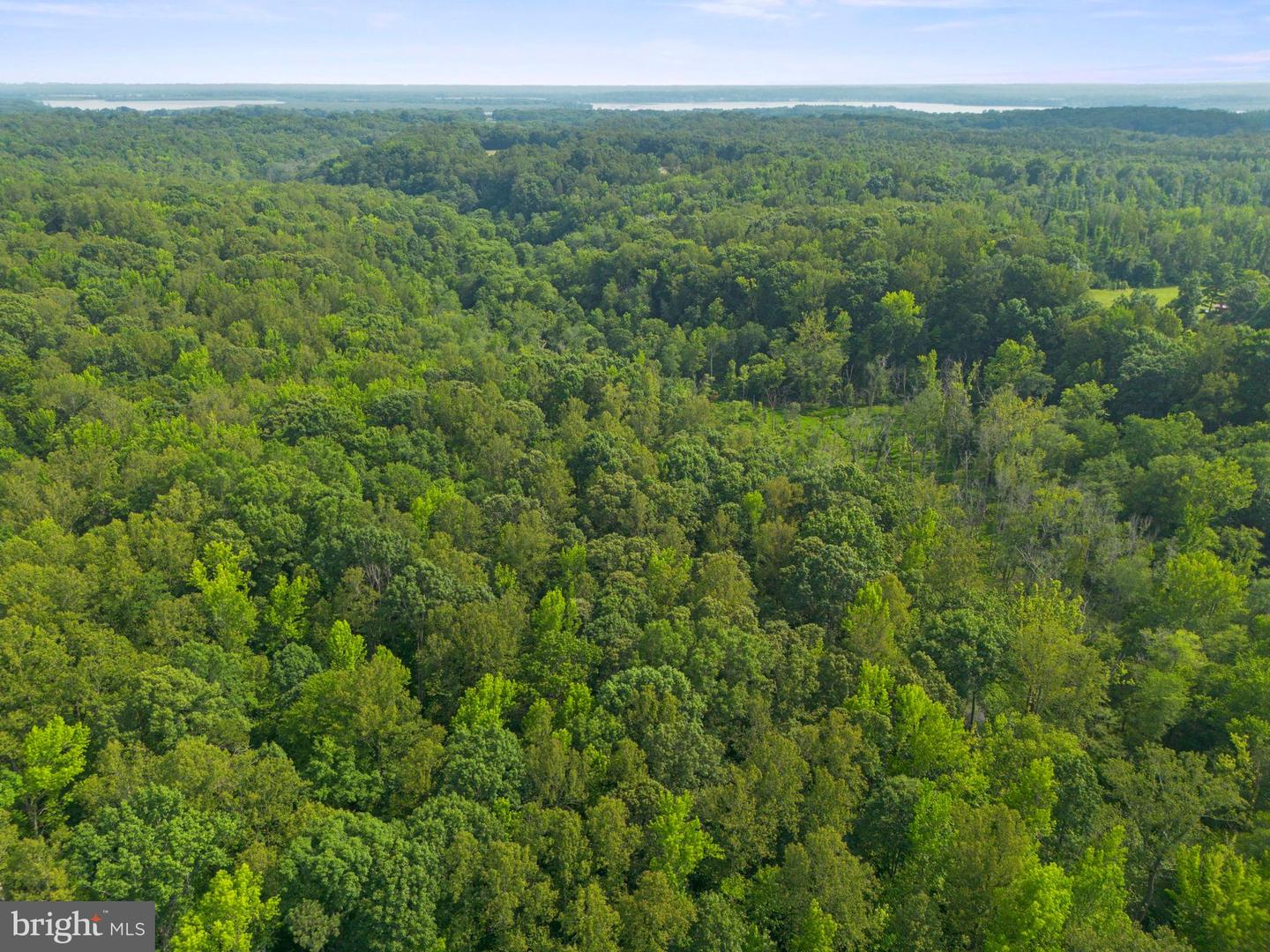 LOT 2 SALEM CHURCH RD, KING GEORGE, Virginia 22485, ,Land,For sale,LOT 2 SALEM CHURCH RD,VAKG2006638 MLS # VAKG2006638