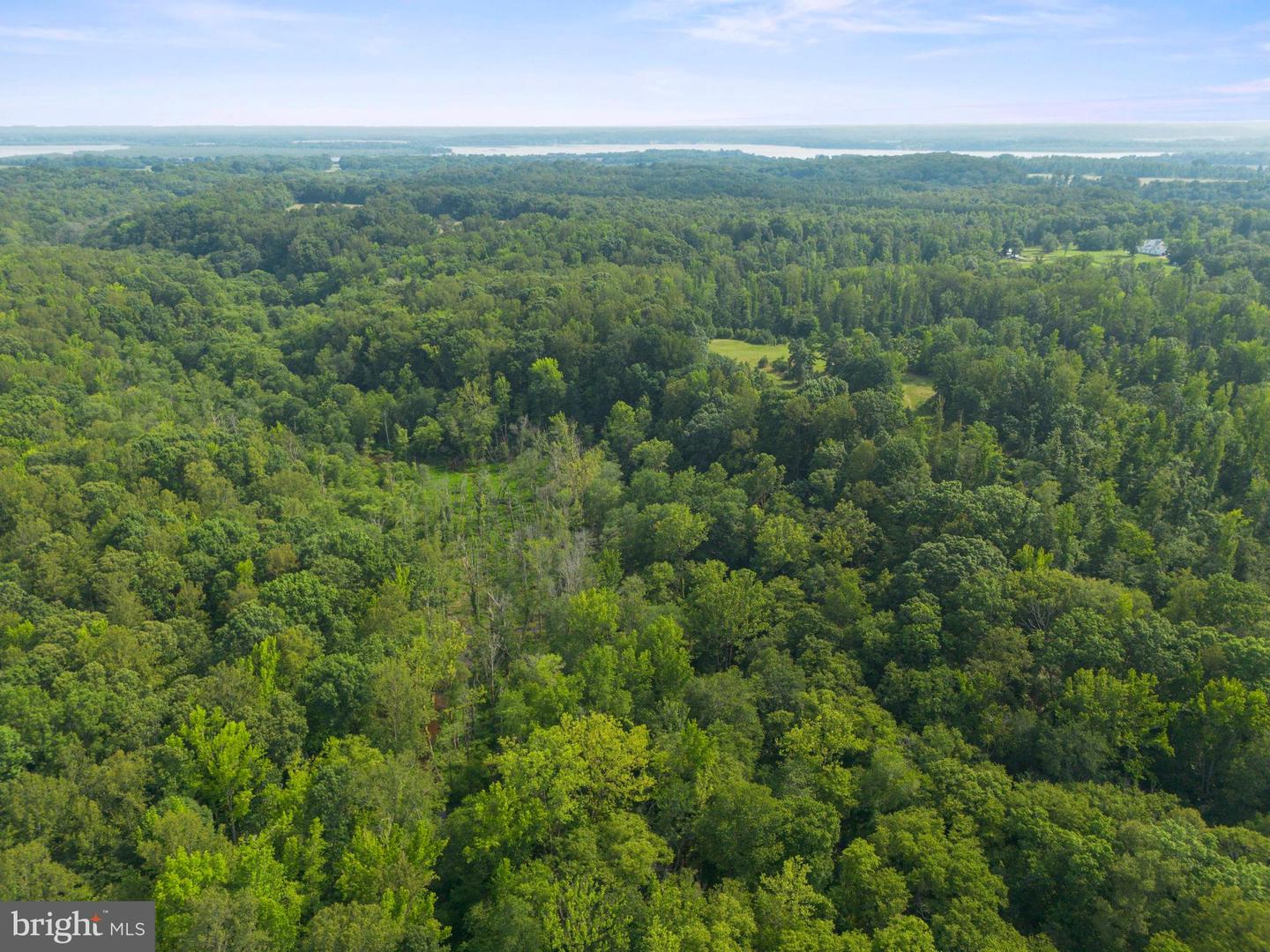 LOT 2 SALEM CHURCH RD, KING GEORGE, Virginia 22485, ,Land,For sale,LOT 2 SALEM CHURCH RD,VAKG2006638 MLS # VAKG2006638