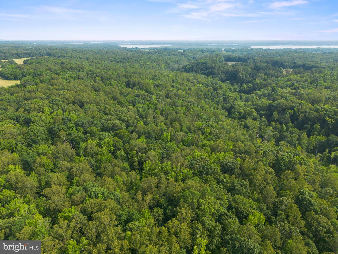 LOT 3 SALEM CHURCH RD, KING GEORGE, Virginia 22485, ,Land,For sale,LOT 3 SALEM CHURCH RD,VAKG2006642 MLS # VAKG2006642
