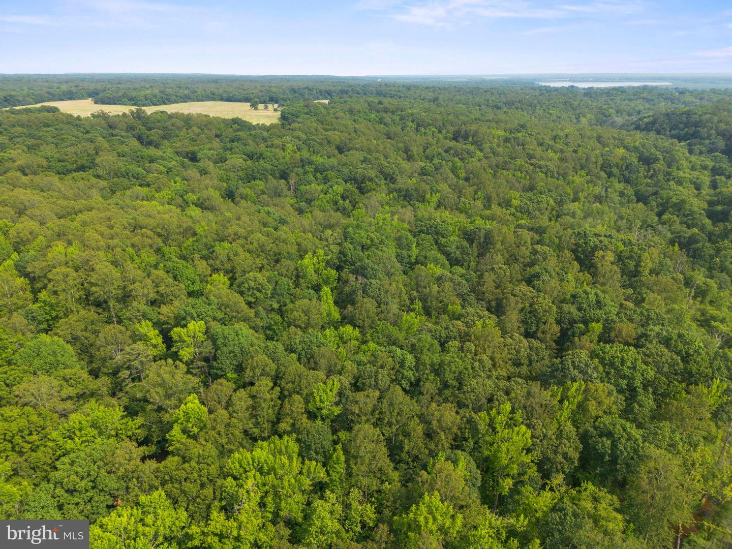 LOT 3 SALEM CHURCH RD, KING GEORGE, Virginia 22485, ,Land,For sale,LOT 3 SALEM CHURCH RD,VAKG2006642 MLS # VAKG2006642