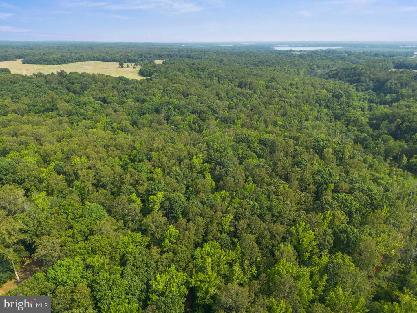 LOT 3 SALEM CHURCH RD, KING GEORGE, Virginia 22485, ,Land,For sale,LOT 3 SALEM CHURCH RD,VAKG2006642 MLS # VAKG2006642