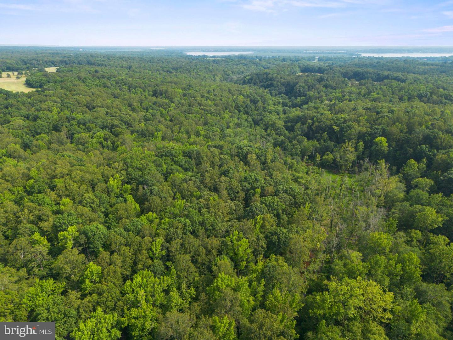 LOT 3 SALEM CHURCH RD, KING GEORGE, Virginia 22485, ,Land,For sale,LOT 3 SALEM CHURCH RD,VAKG2006642 MLS # VAKG2006642