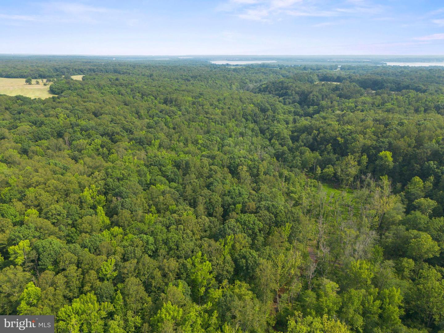 LOT 3 SALEM CHURCH RD, KING GEORGE, Virginia 22485, ,Land,For sale,LOT 3 SALEM CHURCH RD,VAKG2006642 MLS # VAKG2006642