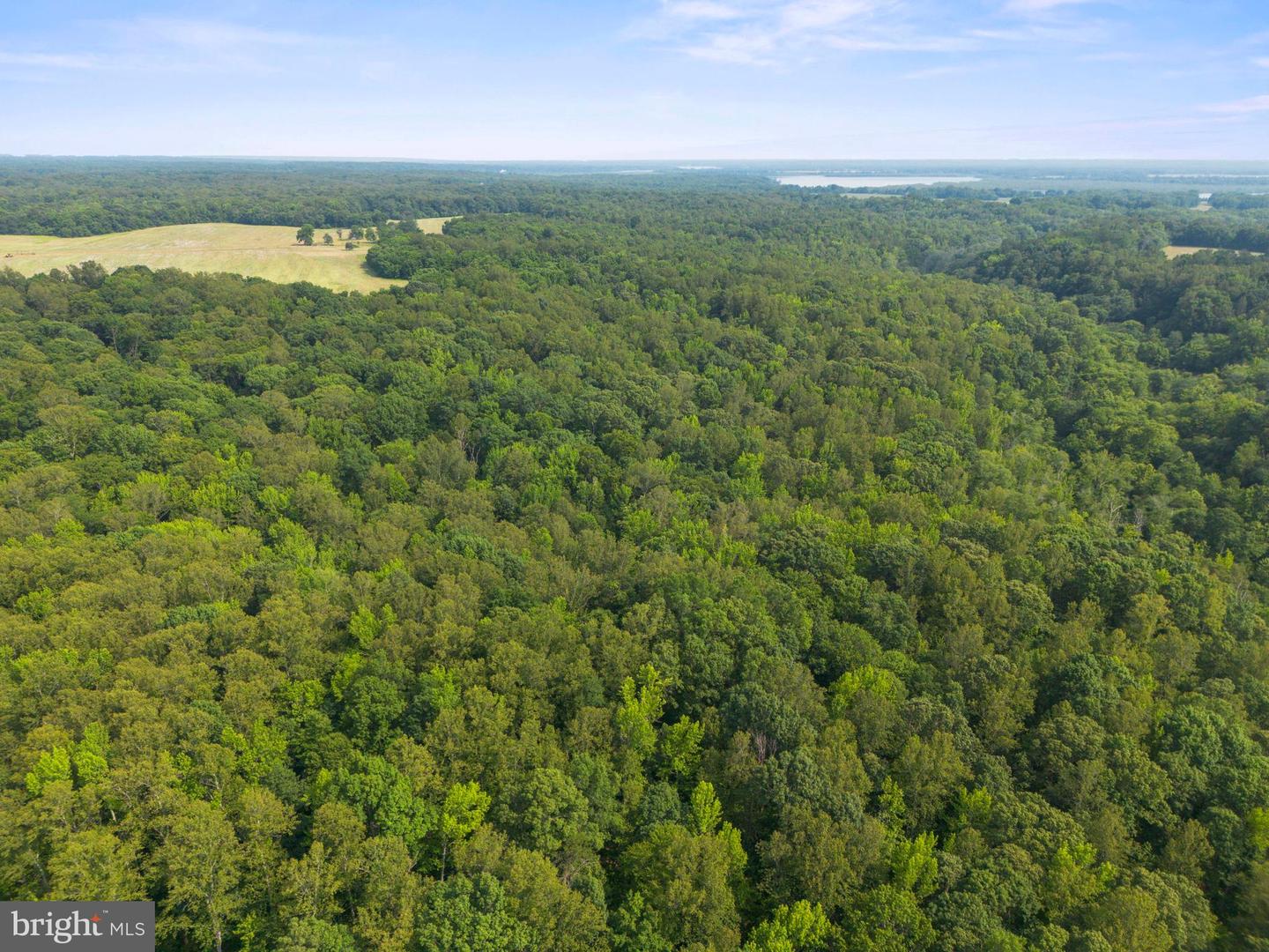LOT 3 SALEM CHURCH RD, KING GEORGE, Virginia 22485, ,Land,For sale,LOT 3 SALEM CHURCH RD,VAKG2006642 MLS # VAKG2006642