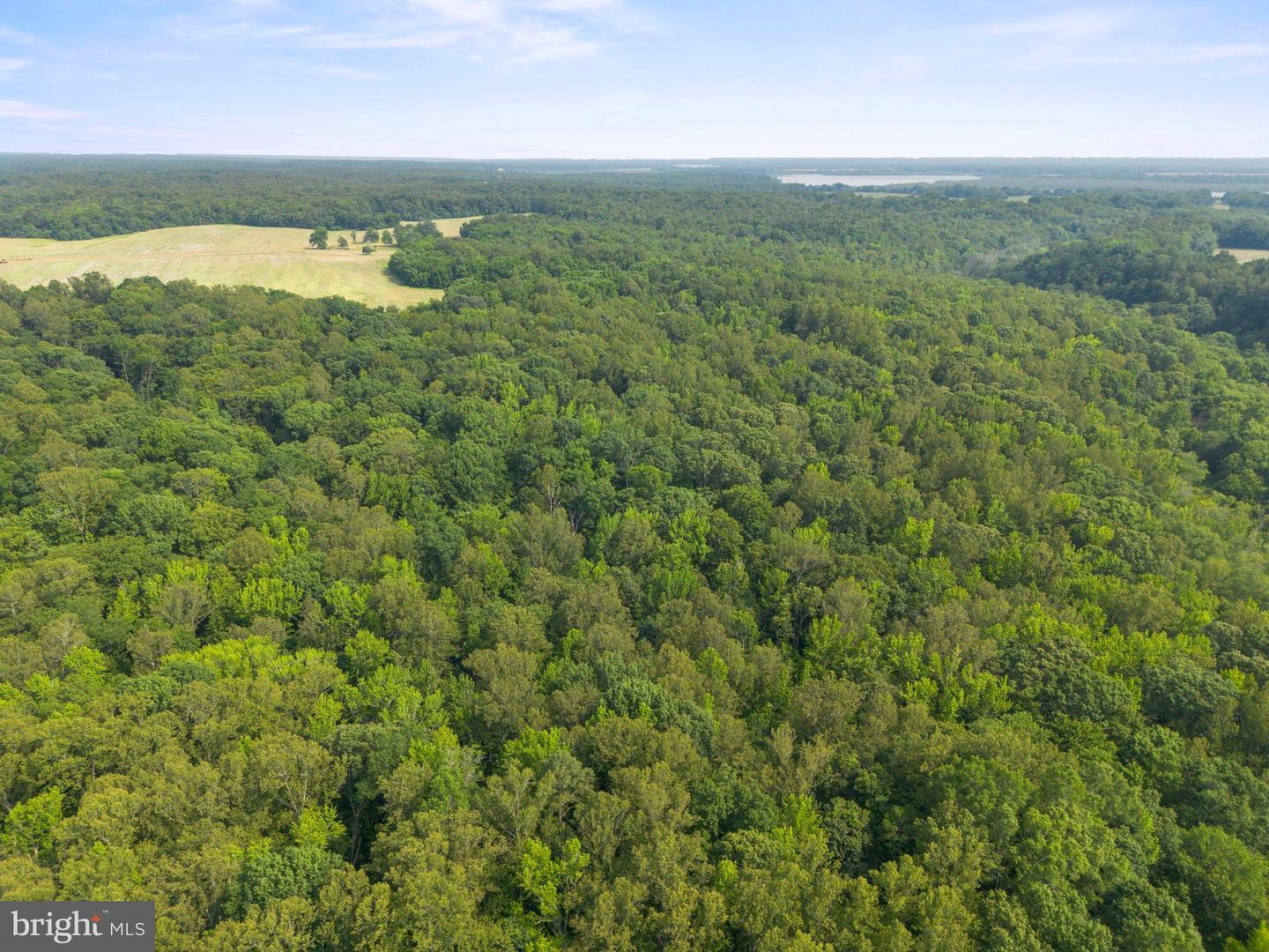 LOT 3 SALEM CHURCH RD, KING GEORGE, Virginia 22485, ,Land,For sale,LOT 3 SALEM CHURCH RD,VAKG2006642 MLS # VAKG2006642