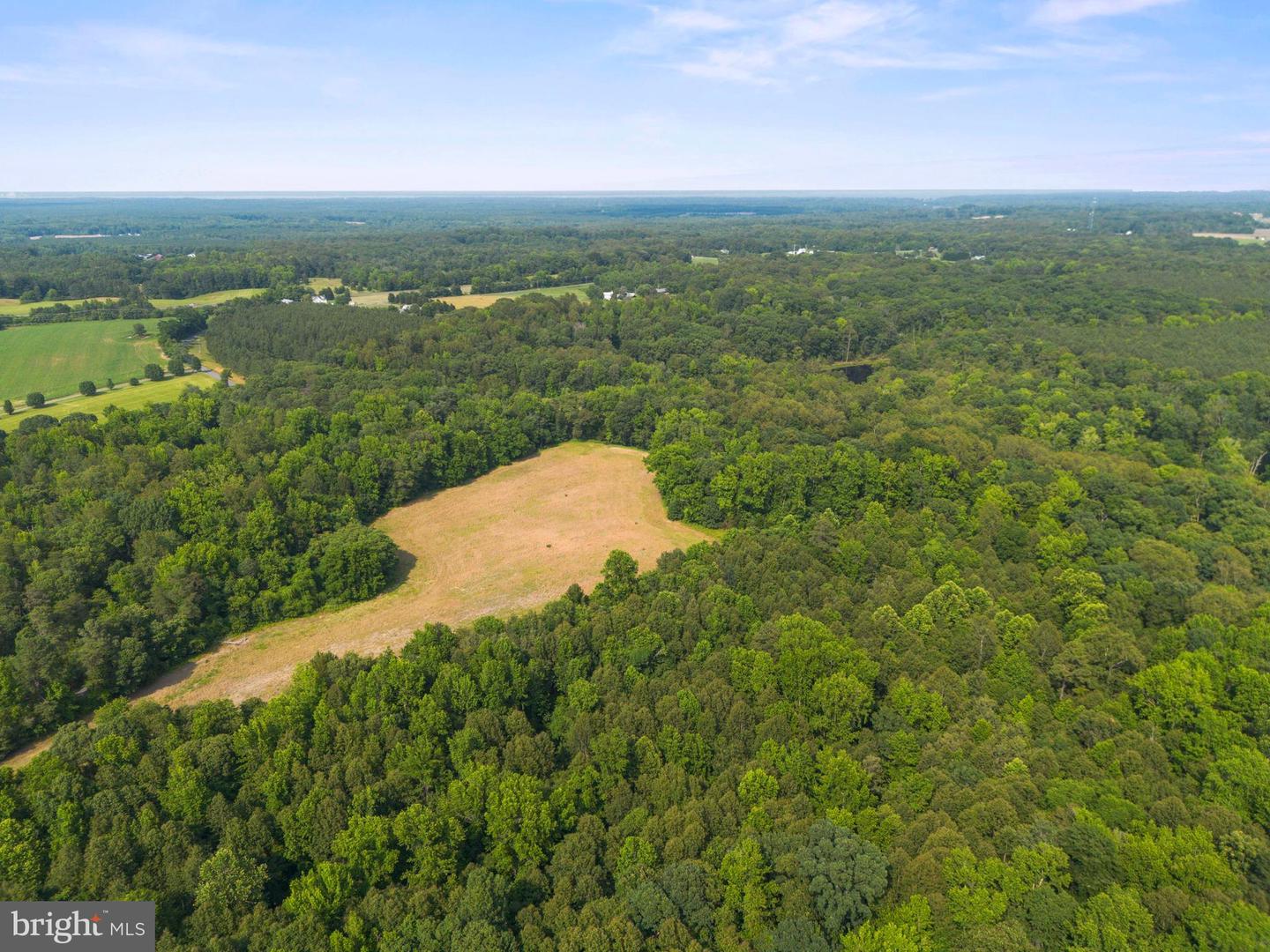 LOT 17 SALEM CHURCH RD, KING GEORGE, Virginia 22485, ,Land,For sale,LOT 17 SALEM CHURCH RD,VAKG2006644 MLS # VAKG2006644