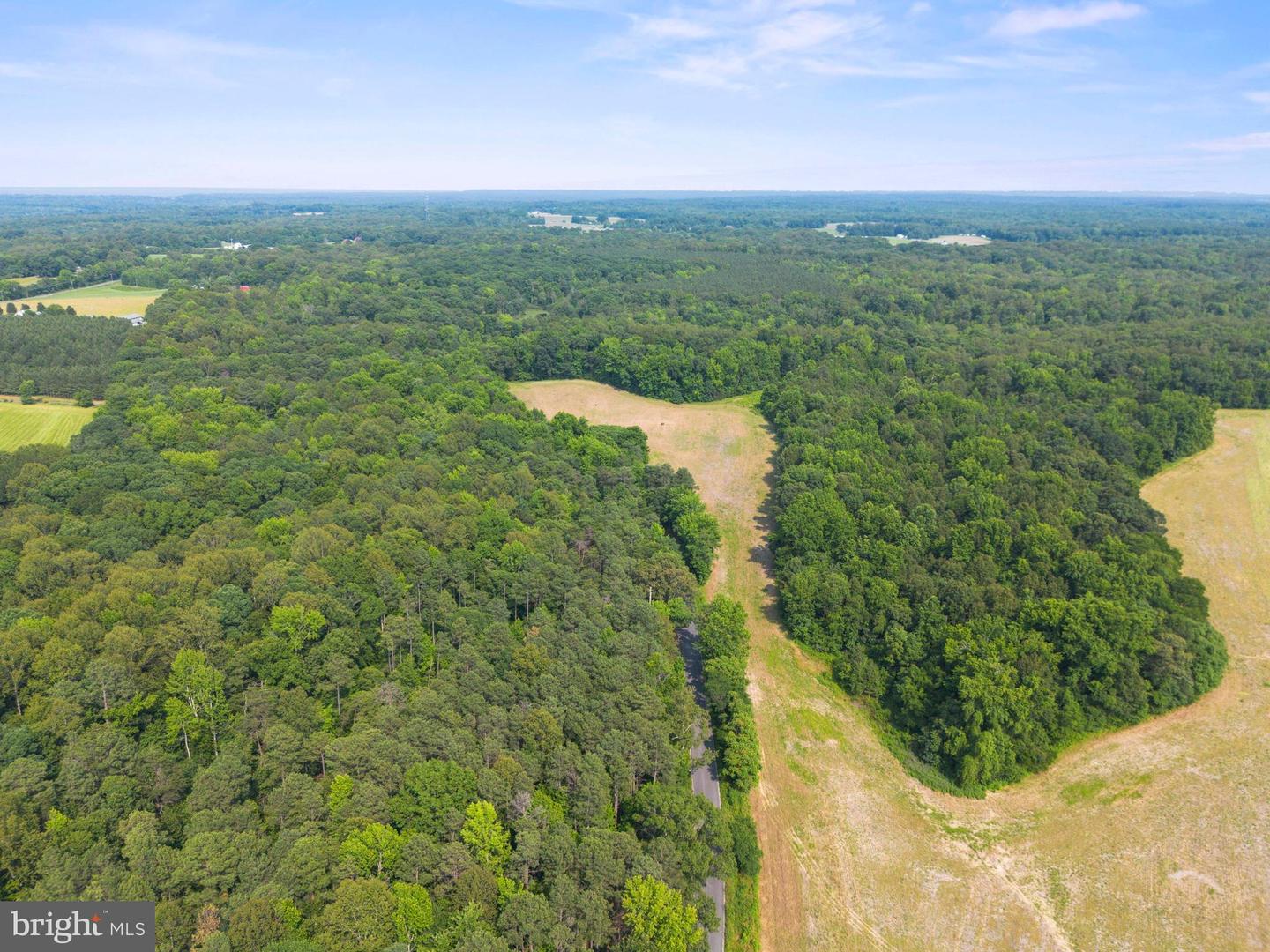 LOT 17 SALEM CHURCH RD, KING GEORGE, Virginia 22485, ,Land,For sale,LOT 17 SALEM CHURCH RD,VAKG2006644 MLS # VAKG2006644