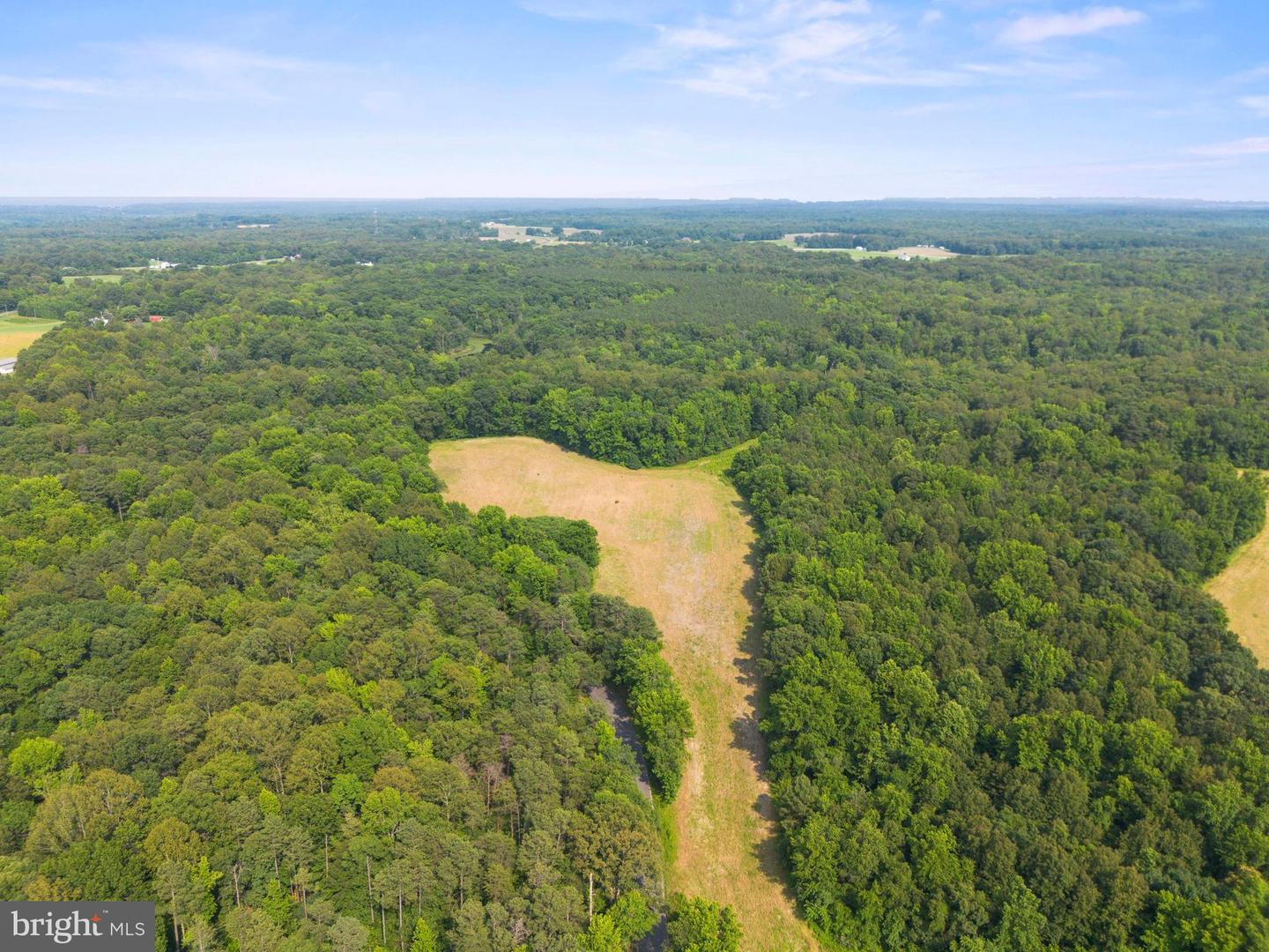 LOT 17 SALEM CHURCH RD, KING GEORGE, Virginia 22485, ,Land,For sale,LOT 17 SALEM CHURCH RD,VAKG2006644 MLS # VAKG2006644