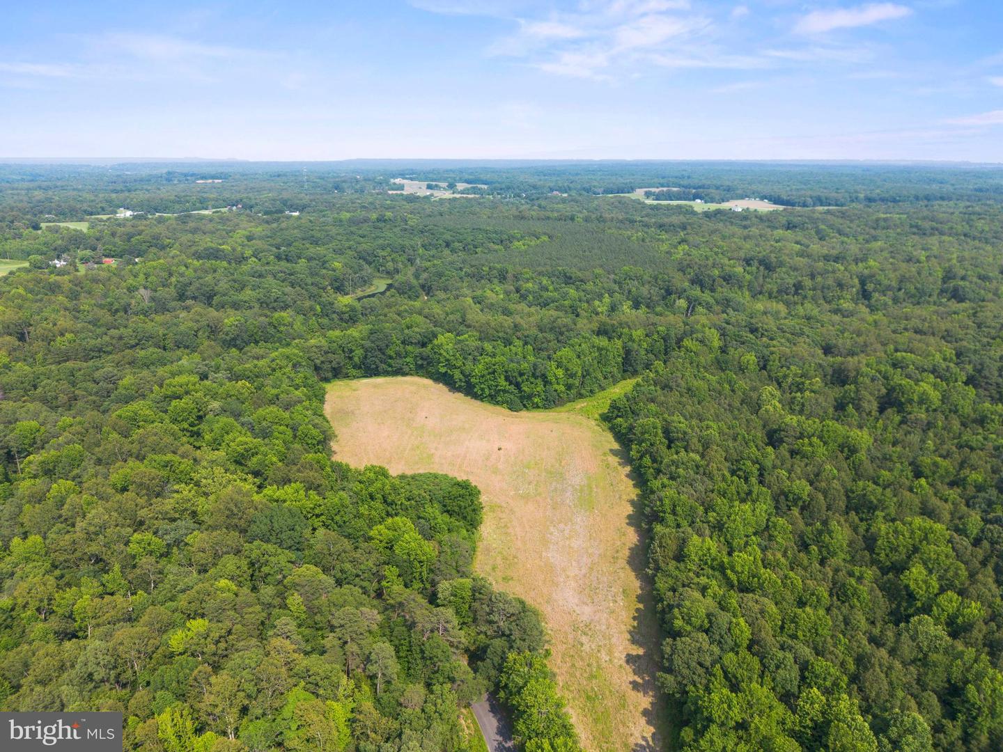 LOT 17 SALEM CHURCH RD, KING GEORGE, Virginia 22485, ,Land,For sale,LOT 17 SALEM CHURCH RD,VAKG2006644 MLS # VAKG2006644