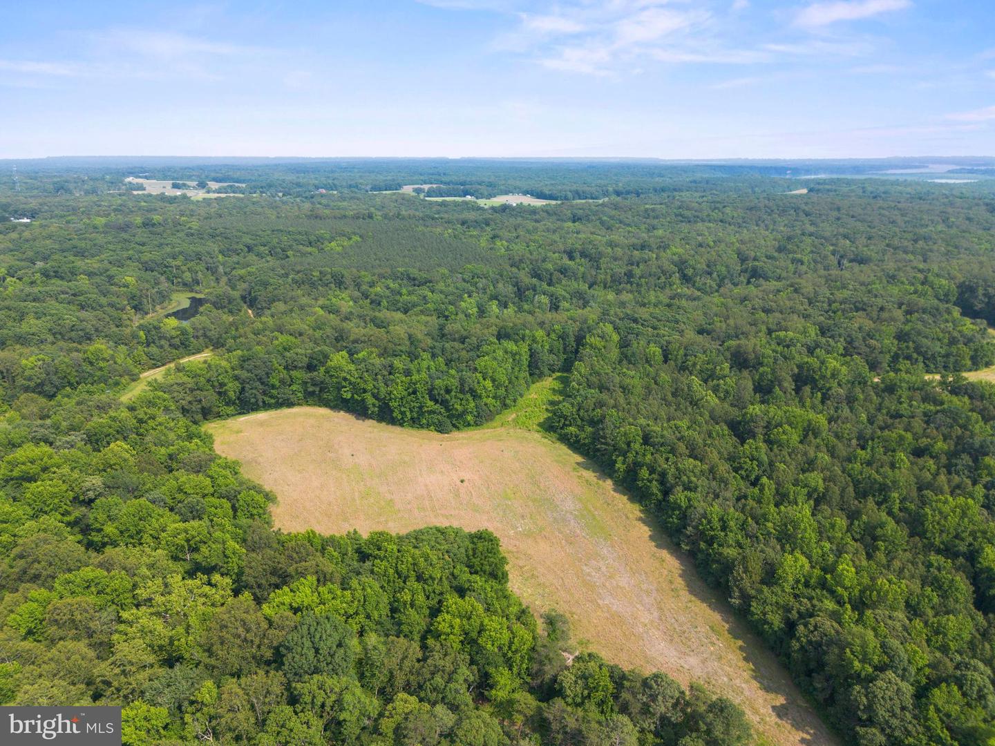 LOT 17 SALEM CHURCH RD, KING GEORGE, Virginia 22485, ,Land,For sale,LOT 17 SALEM CHURCH RD,VAKG2006644 MLS # VAKG2006644