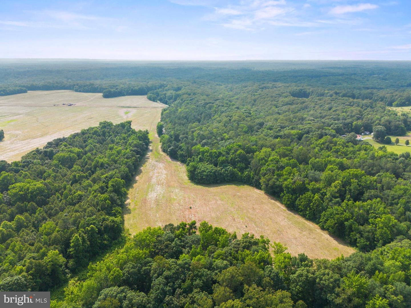 LOT 17 SALEM CHURCH RD, KING GEORGE, Virginia 22485, ,Land,For sale,LOT 17 SALEM CHURCH RD,VAKG2006644 MLS # VAKG2006644