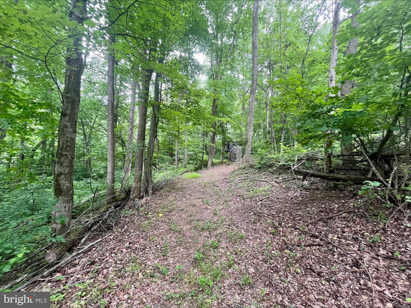 PARIS RD, STANLEY, Virginia 22851, ,Land,For sale,PARIS RD,VAPA2005056 MLS # VAPA2005056