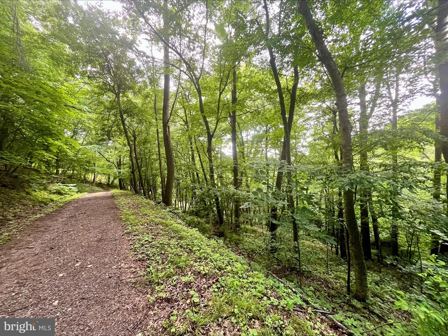 PARIS RD, STANLEY, Virginia 22851, ,Land,For sale,PARIS RD,VAPA2005056 MLS # VAPA2005056