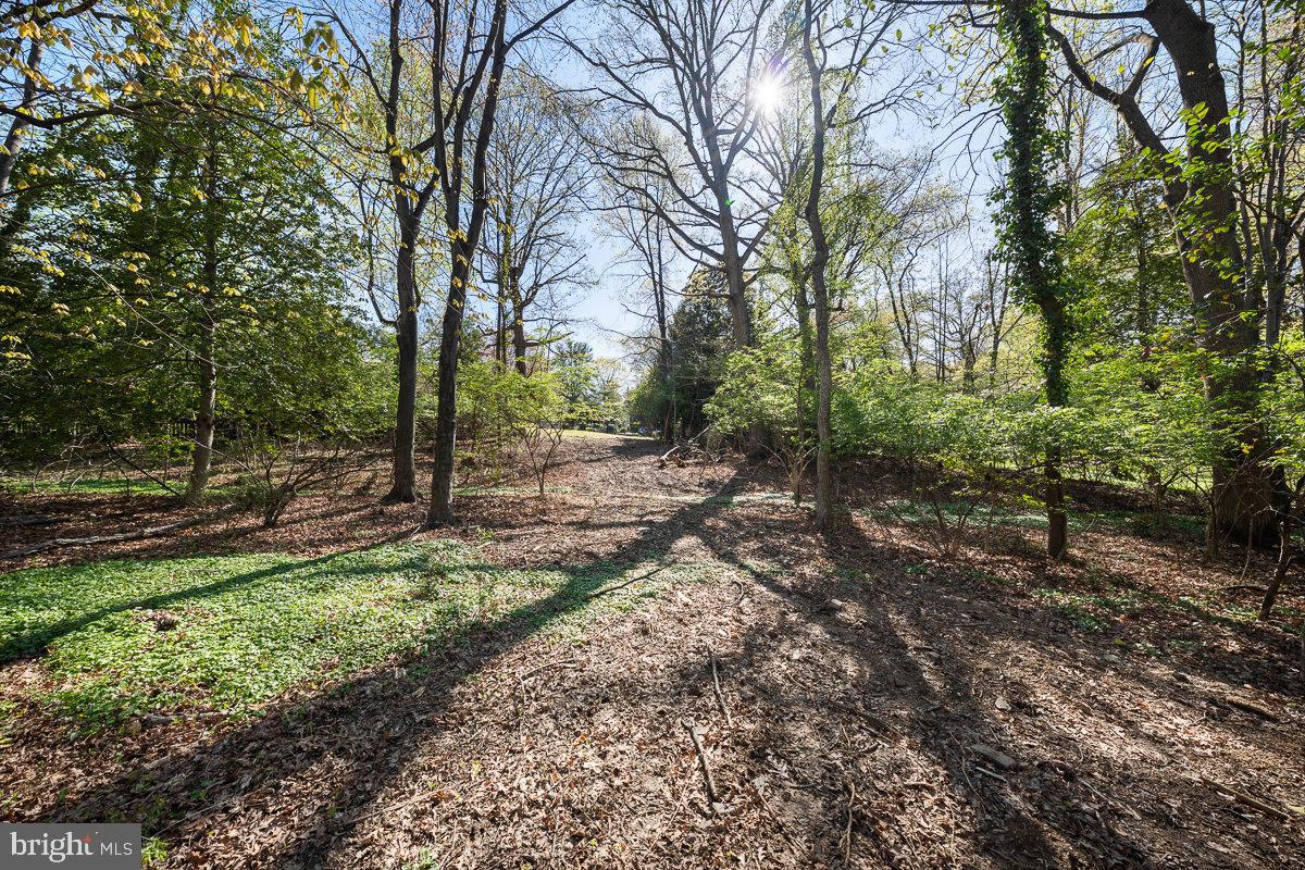 1914 BIRCH RD, MCLEAN, Virginia 22101, ,Land,For sale,1914 BIRCH RD,VAFX2249416 MLS # VAFX2249416