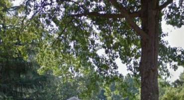 3806 BENT BRANCH RD, FALLS CHURCH, Virginia 22041, 4 Bedrooms Bedrooms, ,2 BathroomsBathrooms,Residential,For sale,3806 BENT BRANCH RD,VAFX2236088 MLS # VAFX2236088
