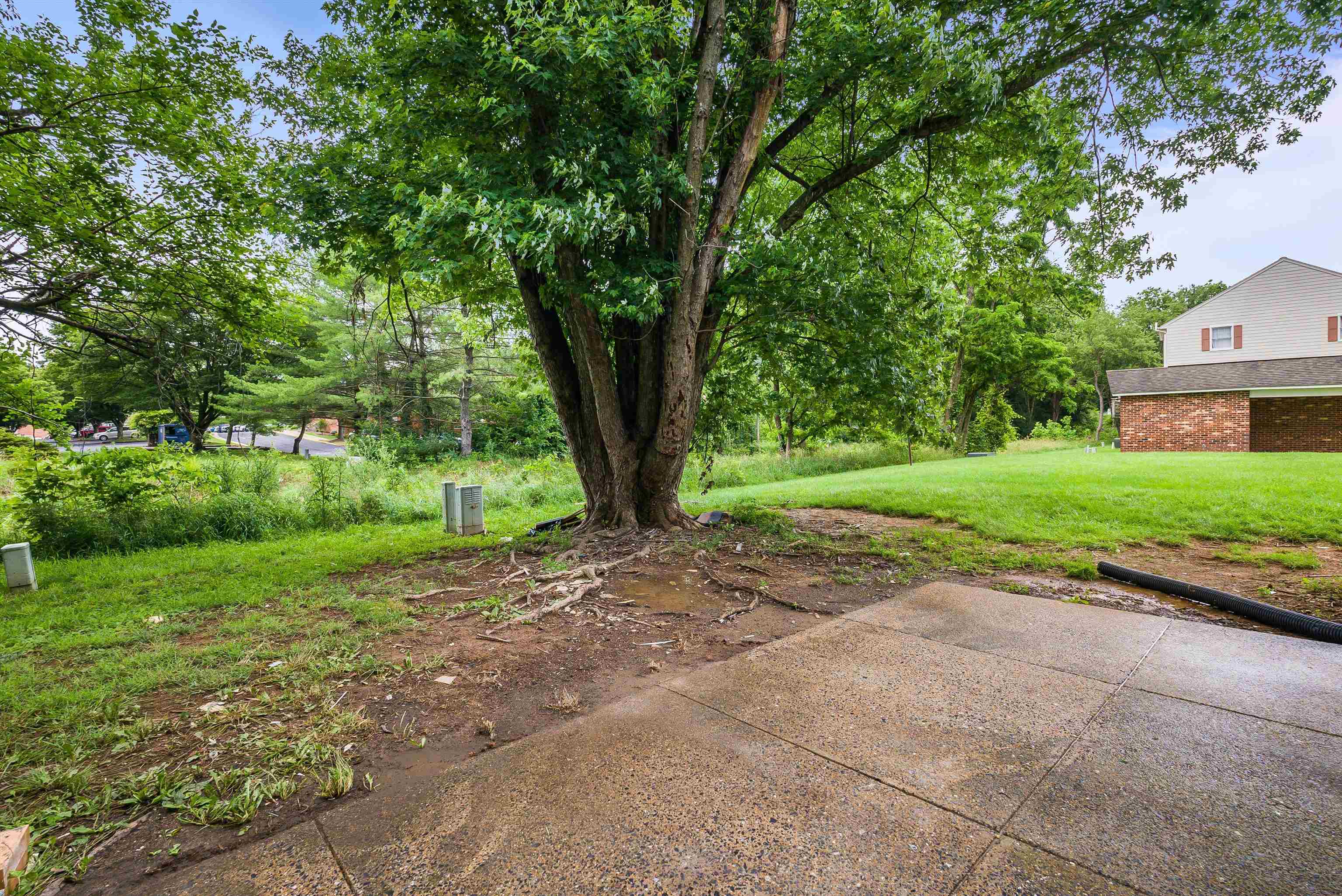 1114 MOUNTAIN VIEW DR, HARRISONBURG, Virginia 22801, 3 Bedrooms Bedrooms, ,1 BathroomBathrooms,Residential,1114 MOUNTAIN VIEW DR,665963 MLS # 665963