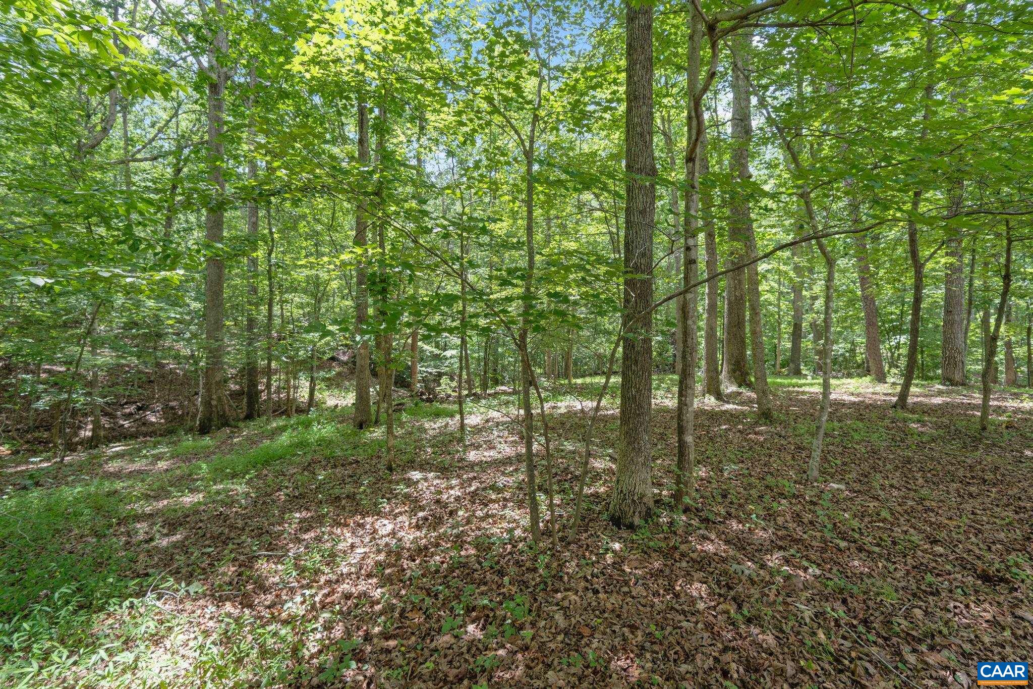 6 CHEYENNE CT, PALMYRA, Virginia 22963, 3 Bedrooms Bedrooms, ,3 BathroomsBathrooms,Residential,6 CHEYENNE CT,665974 MLS # 665974