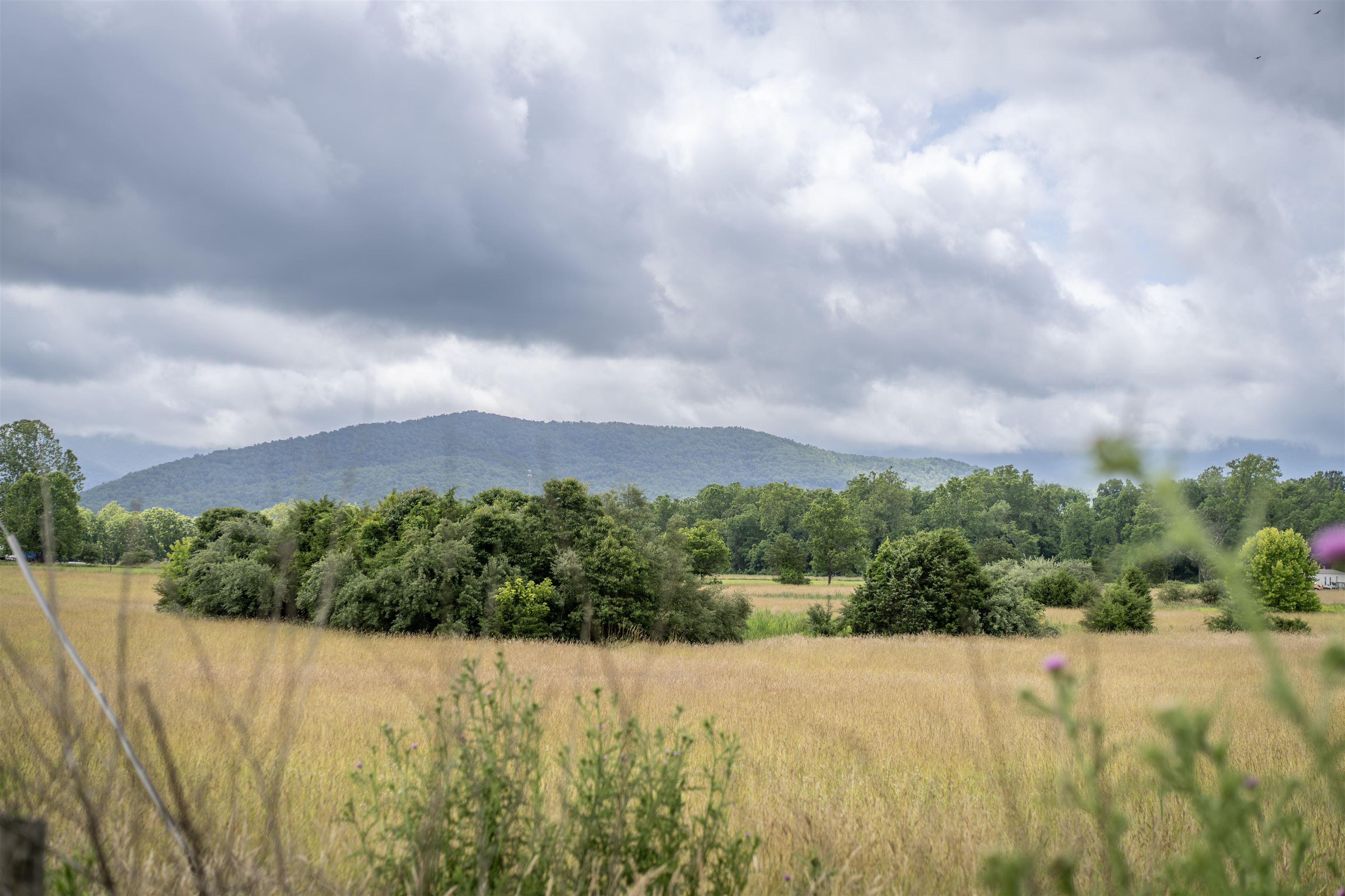 1415 KIMBALL RD, LURAY, Virginia 22835, 3 Bedrooms Bedrooms, ,2 BathroomsBathrooms,Residential,Sunset Mountain Retreat,1415 KIMBALL RD,665998 MLS # 665998