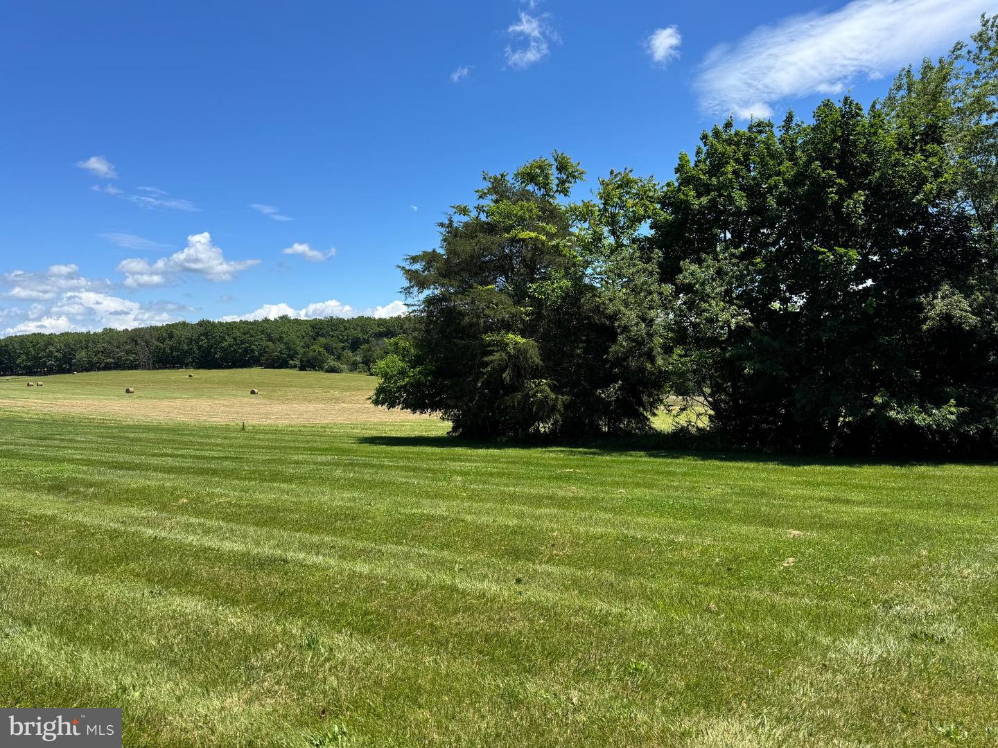 1793 N HAYFIELD RD, WINCHESTER, Virginia 22603, 3 Bedrooms Bedrooms, ,2 BathroomsBathrooms,Residential,For sale,1793 N HAYFIELD RD,VAFV2034138 MLS # VAFV2034138