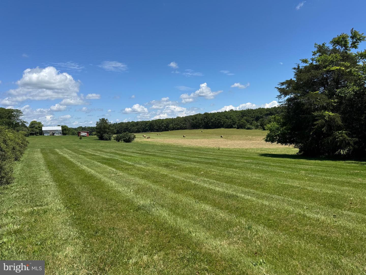 1793 N HAYFIELD RD, WINCHESTER, Virginia 22603, 3 Bedrooms Bedrooms, ,2 BathroomsBathrooms,Residential,For sale,1793 N HAYFIELD RD,VAFV2034138 MLS # VAFV2034138