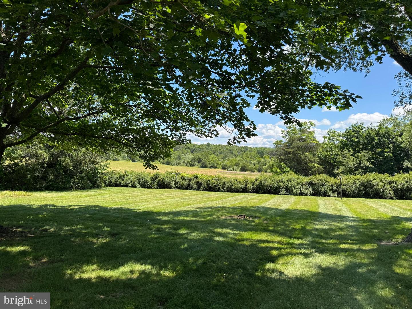1793 N HAYFIELD RD, WINCHESTER, Virginia 22603, 3 Bedrooms Bedrooms, ,2 BathroomsBathrooms,Residential,For sale,1793 N HAYFIELD RD,VAFV2034138 MLS # VAFV2034138