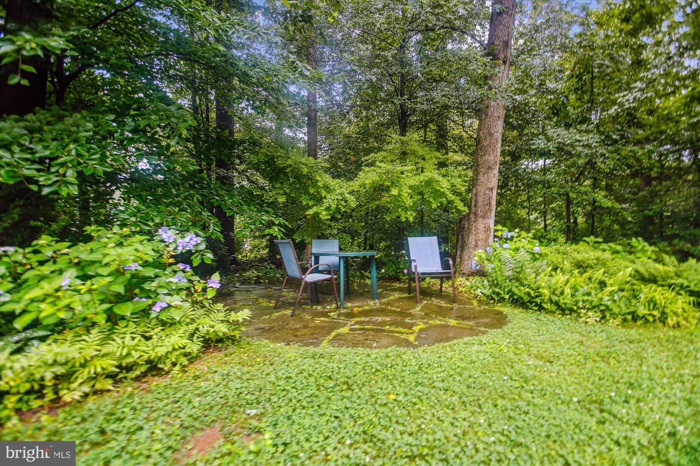 6662 VAN WINKLE DR, FALLS CHURCH, Virginia 22044, 4 Bedrooms Bedrooms, ,3 BathroomsBathrooms,Residential,For sale,6662 VAN WINKLE DR,VAFX2242420 MLS # VAFX2242420