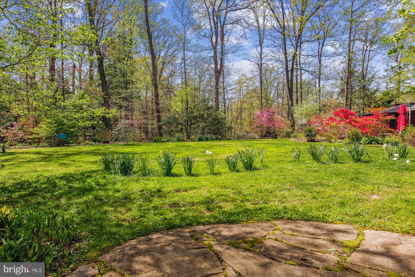 6662 VAN WINKLE DR, FALLS CHURCH, Virginia 22044, 4 Bedrooms Bedrooms, ,3 BathroomsBathrooms,Residential,For sale,6662 VAN WINKLE DR,VAFX2242420 MLS # VAFX2242420