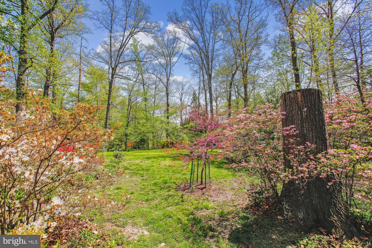 6662 VAN WINKLE DR, FALLS CHURCH, Virginia 22044, 4 Bedrooms Bedrooms, ,3 BathroomsBathrooms,Residential,For sale,6662 VAN WINKLE DR,VAFX2242420 MLS # VAFX2242420