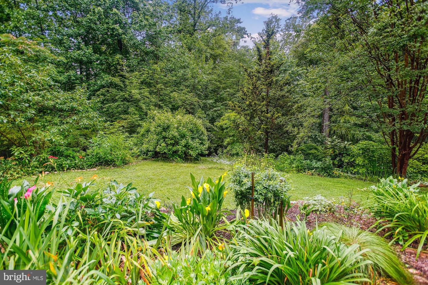 6662 VAN WINKLE DR, FALLS CHURCH, Virginia 22044, 4 Bedrooms Bedrooms, ,3 BathroomsBathrooms,Residential,For sale,6662 VAN WINKLE DR,VAFX2242420 MLS # VAFX2242420