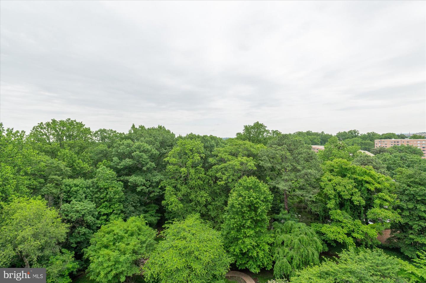 3601 CONNECTICUT AVE NW #816, WASHINGTON, District Of Columbia 20008, 1 Bedroom Bedrooms, 5 Rooms Rooms,1 BathroomBathrooms,Residential,For sale,3601 CONNECTICUT AVE NW #816,DCDC2203366 MLS # DCDC2203366