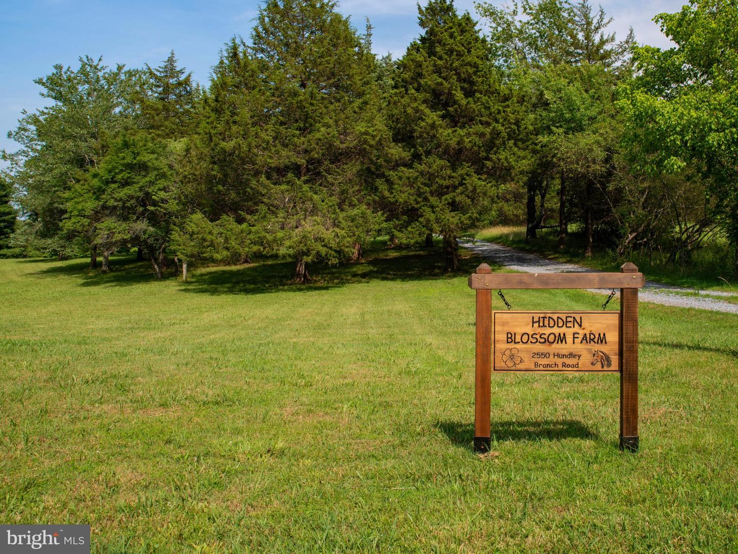 2546 & 2550 HUNDLEY BRANCH RD, SCOTTSVILLE, Virginia 24590, 3 Bedrooms Bedrooms, ,2 BathroomsBathrooms,Farm,For sale,2546 & 2550 HUNDLEY BRANCH RD,VABH2000184 MLS # VABH2000184