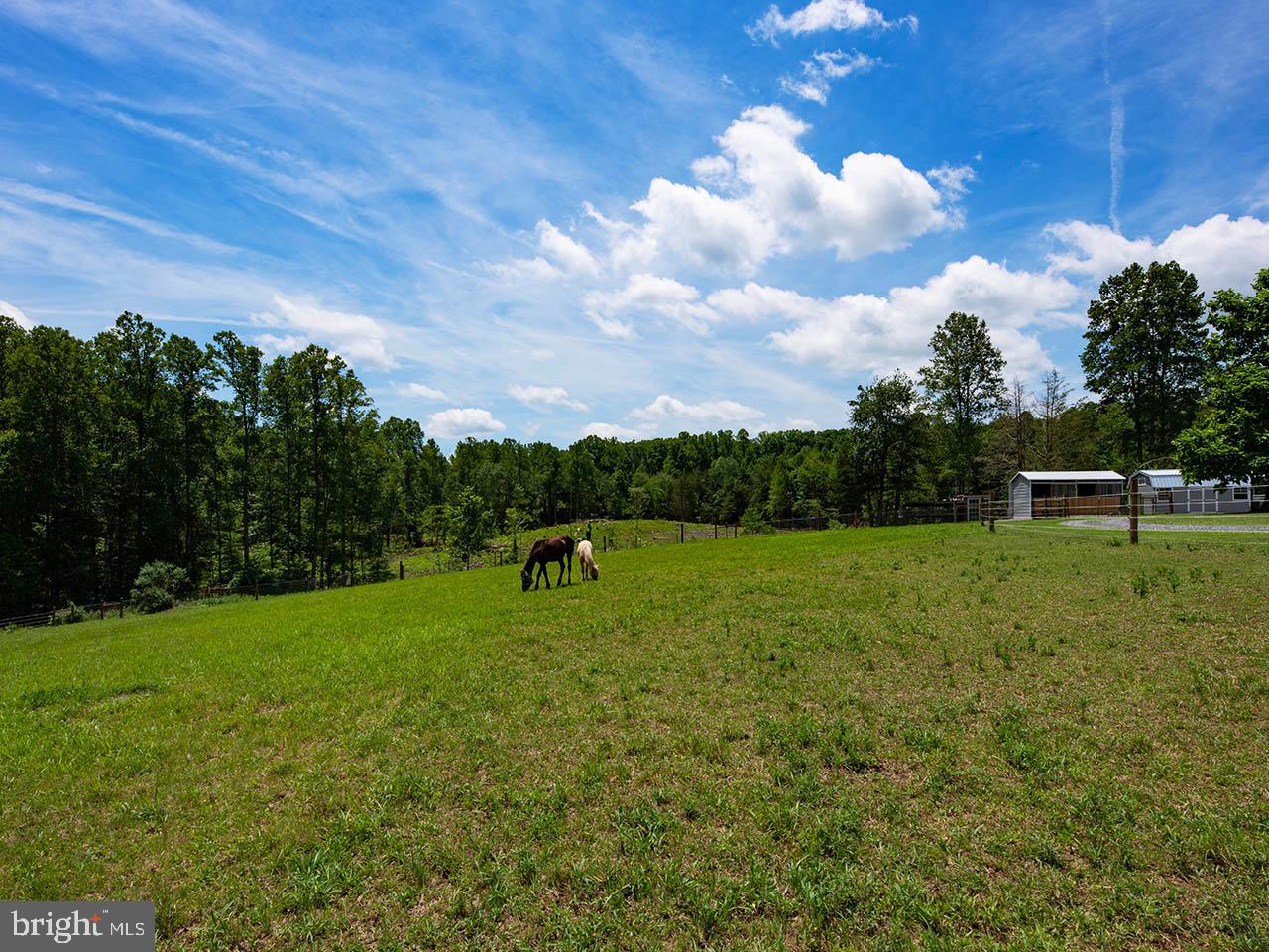 2546 & 2550 HUNDLEY BRANCH RD, SCOTTSVILLE, Virginia 24590, 3 Bedrooms Bedrooms, ,2 BathroomsBathrooms,Farm,For sale,2546 & 2550 HUNDLEY BRANCH RD,VABH2000184 MLS # VABH2000184
