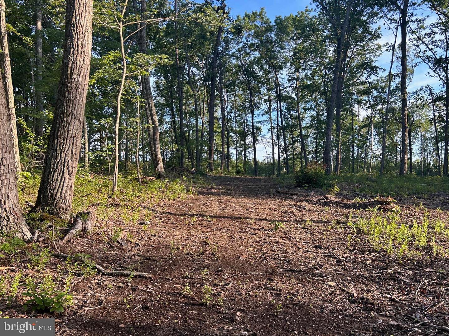 2546 & 2550 HUNDLEY BRANCH RD, SCOTTSVILLE, Virginia 24590, 3 Bedrooms Bedrooms, ,2 BathroomsBathrooms,Farm,For sale,2546 & 2550 HUNDLEY BRANCH RD,VABH2000184 MLS # VABH2000184