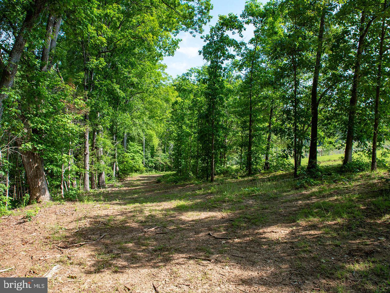 2546 & 2550 HUNDLEY BRANCH RD, SCOTTSVILLE, Virginia 24590, 3 Bedrooms Bedrooms, ,2 BathroomsBathrooms,Farm,For sale,2546 & 2550 HUNDLEY BRANCH RD,VABH2000184 MLS # VABH2000184