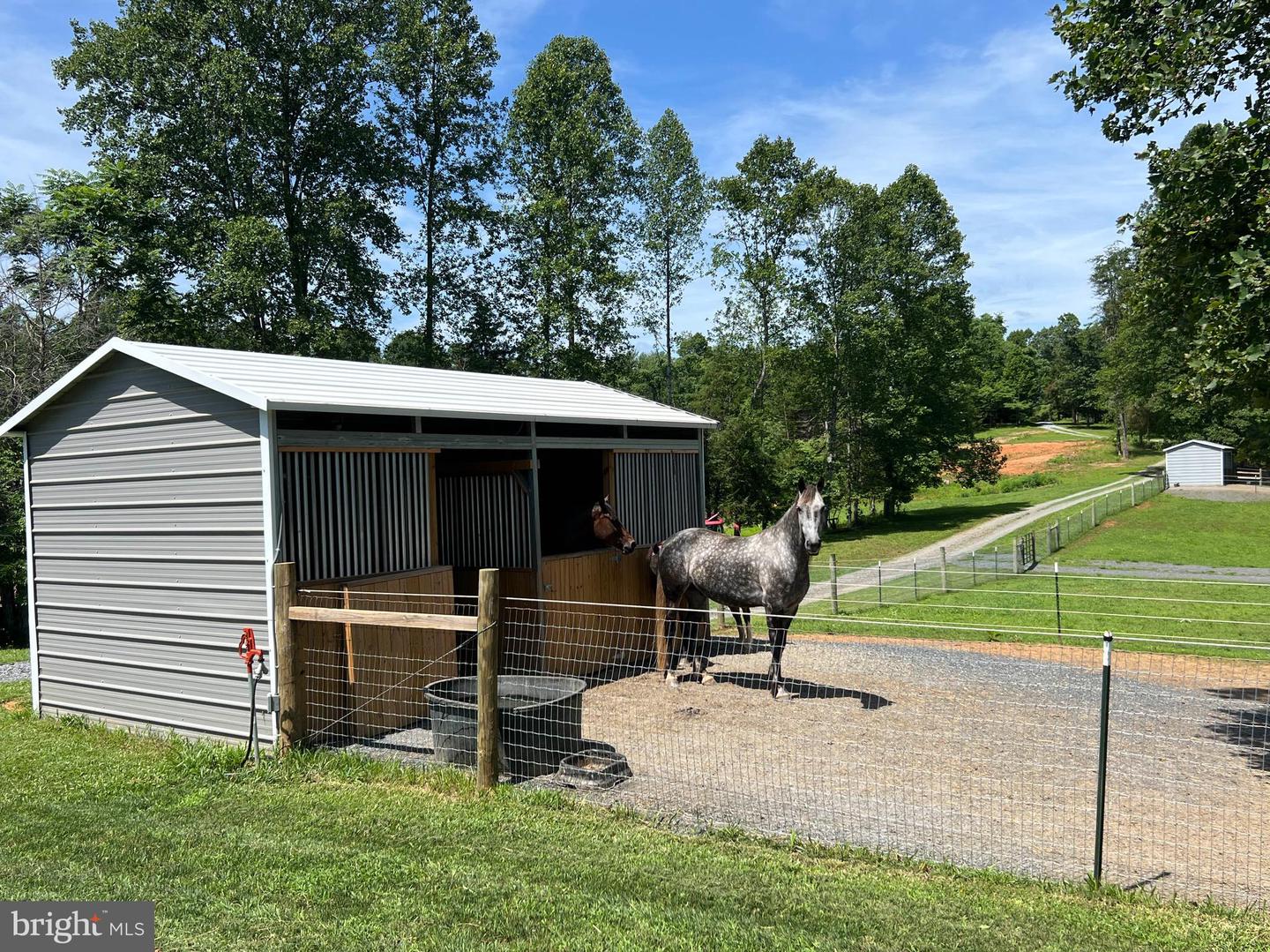 2546 & 2550 HUNDLEY BRANCH RD, SCOTTSVILLE, Virginia 24590, 3 Bedrooms Bedrooms, ,2 BathroomsBathrooms,Farm,For sale,2546 & 2550 HUNDLEY BRANCH RD,VABH2000184 MLS # VABH2000184