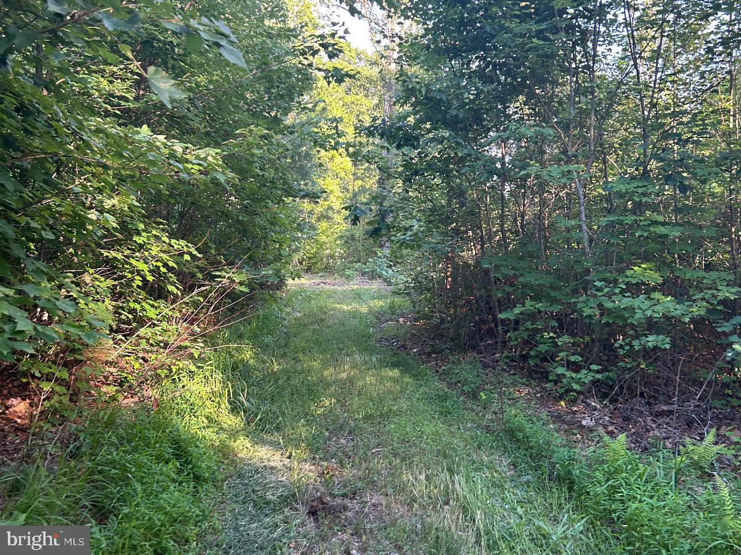 2546 & 2550 HUNDLEY BRANCH RD, SCOTTSVILLE, Virginia 24590, 3 Bedrooms Bedrooms, ,2 BathroomsBathrooms,Farm,For sale,2546 & 2550 HUNDLEY BRANCH RD,VABH2000184 MLS # VABH2000184