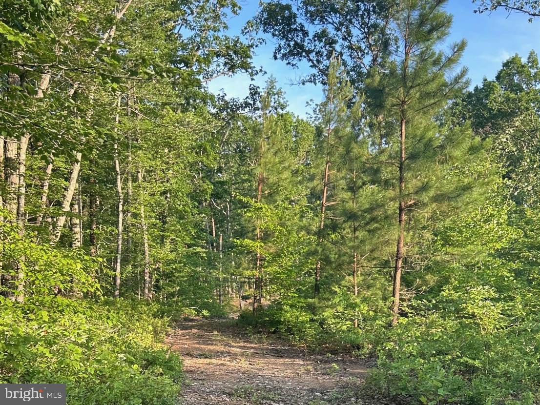 2546 & 2550 HUNDLEY BRANCH RD, SCOTTSVILLE, Virginia 24590, 3 Bedrooms Bedrooms, ,2 BathroomsBathrooms,Farm,For sale,2546 & 2550 HUNDLEY BRANCH RD,VABH2000184 MLS # VABH2000184