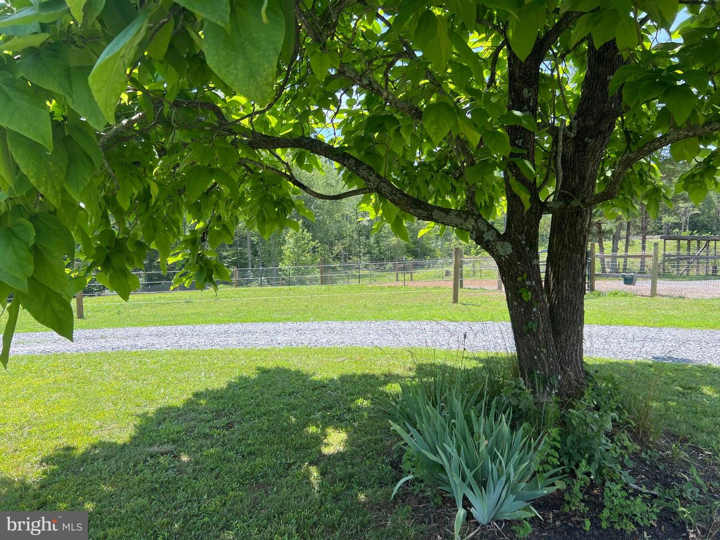 2546 & 2550 HUNDLEY BRANCH RD, SCOTTSVILLE, Virginia 24590, 3 Bedrooms Bedrooms, ,2 BathroomsBathrooms,Farm,For sale,2546 & 2550 HUNDLEY BRANCH RD,VABH2000184 MLS # VABH2000184