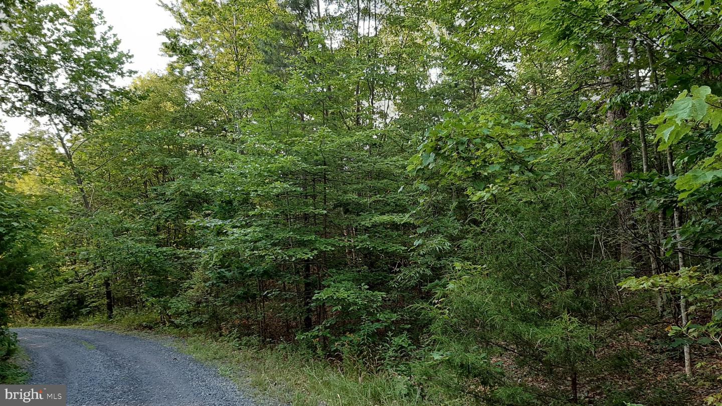 BRUSH LEAF LN, MOUNT JACKSON, Virginia 22842, ,Land,For sale,BRUSH LEAF LN,VASH2011748 MLS # VASH2011748