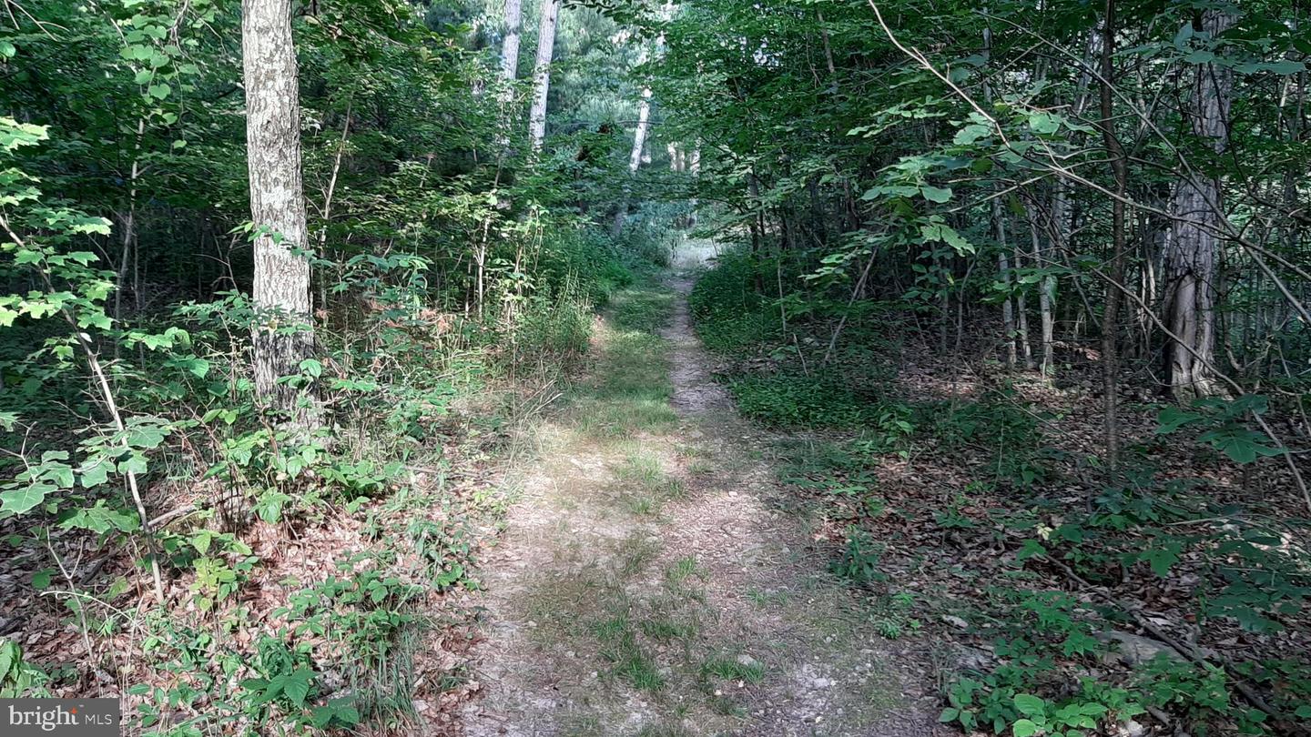 BRUSH LEAF LN, MOUNT JACKSON, Virginia 22842, ,Land,For sale,BRUSH LEAF LN,VASH2011748 MLS # VASH2011748