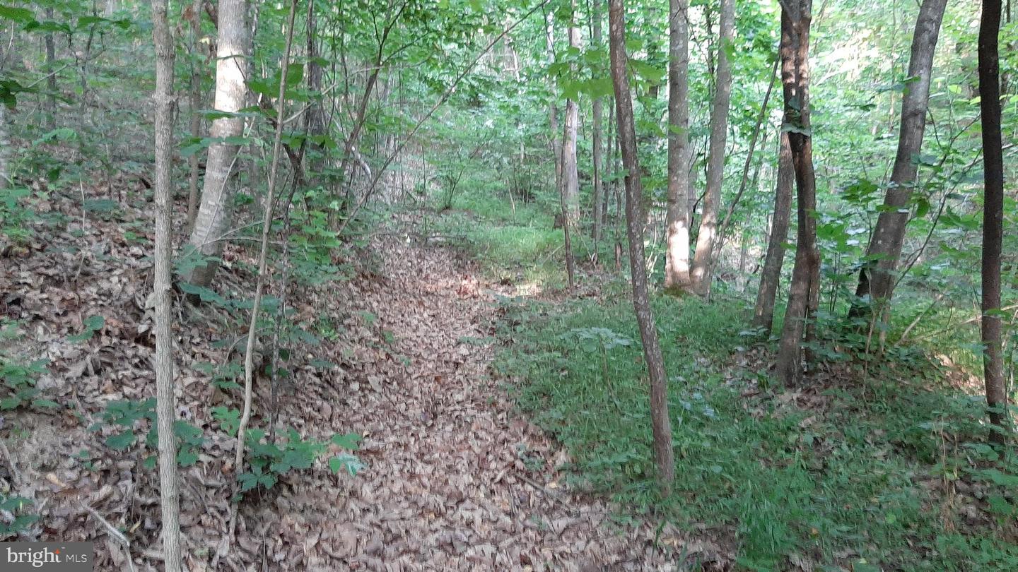 BRUSH LEAF LN, MOUNT JACKSON, Virginia 22842, ,Land,For sale,BRUSH LEAF LN,VASH2011748 MLS # VASH2011748