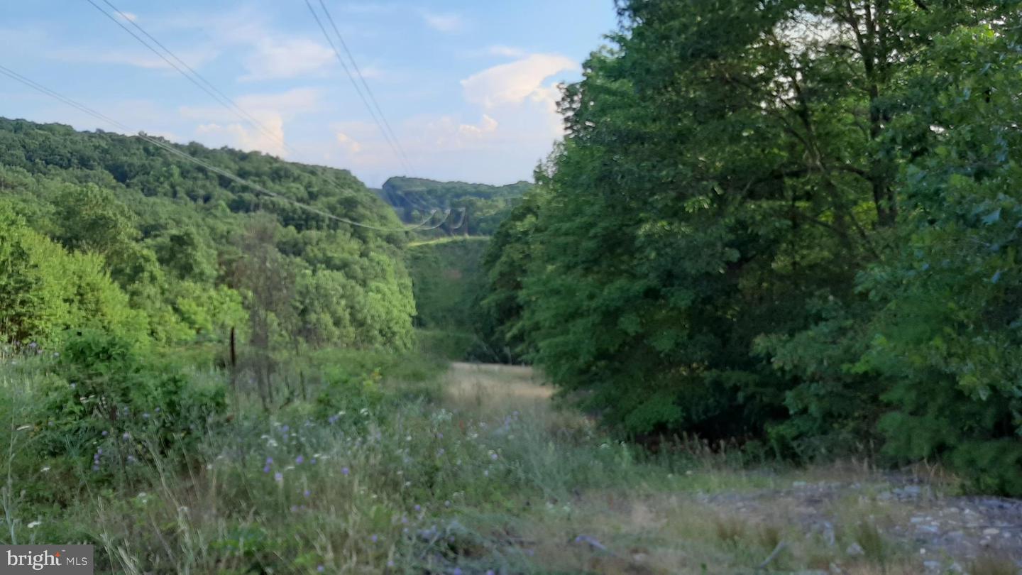 BRUSH LEAF LN, MOUNT JACKSON, Virginia 22842, ,Land,For sale,BRUSH LEAF LN,VASH2011748 MLS # VASH2011748