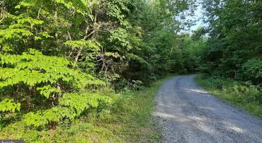 BRUSH LEAF LN, MOUNT JACKSON, Virginia 22842, ,Land,For sale,BRUSH LEAF LN,VASH2011748 MLS # VASH2011748