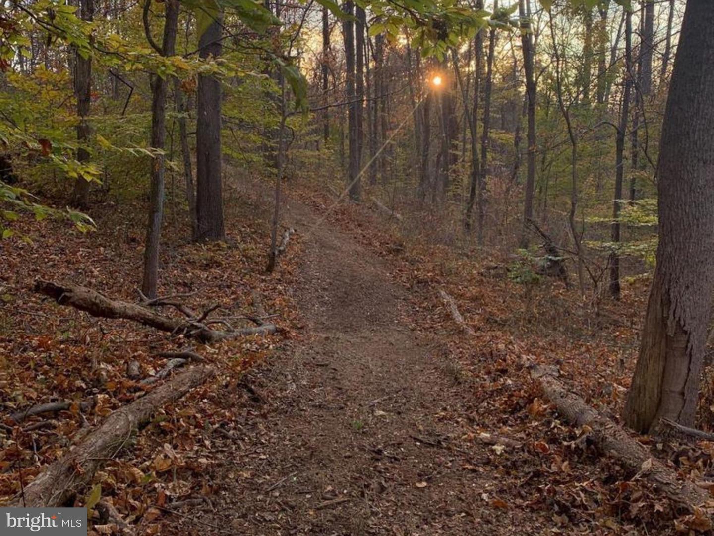 ROCKY LN, FRONT ROYAL, Virginia 22630, ,Land,For sale,ROCKY LN,VAWR2011554 MLS # VAWR2011554