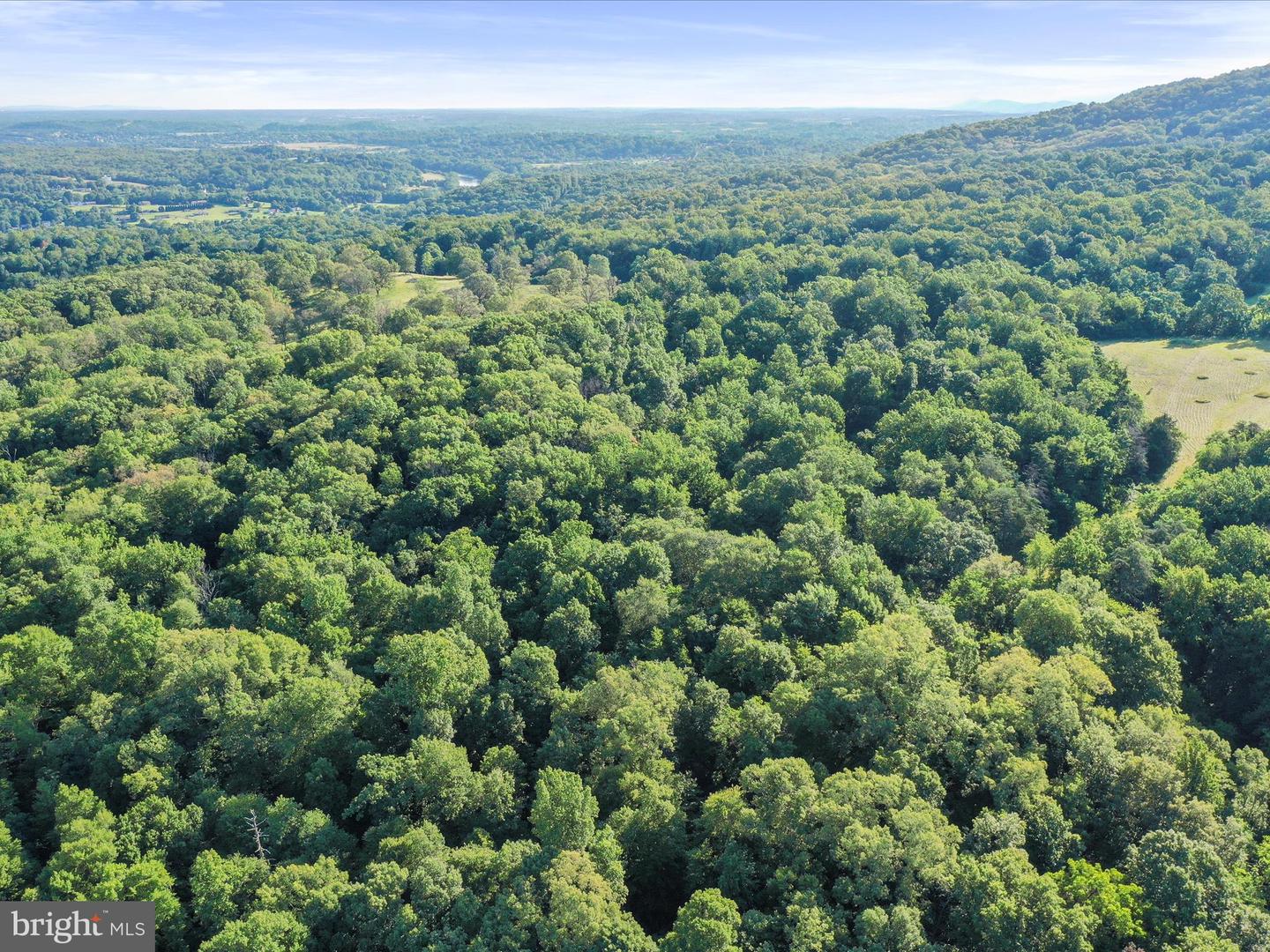 ROCKY LN, FRONT ROYAL, Virginia 22630, ,Land,For sale,ROCKY LN,VAWR2011554 MLS # VAWR2011554