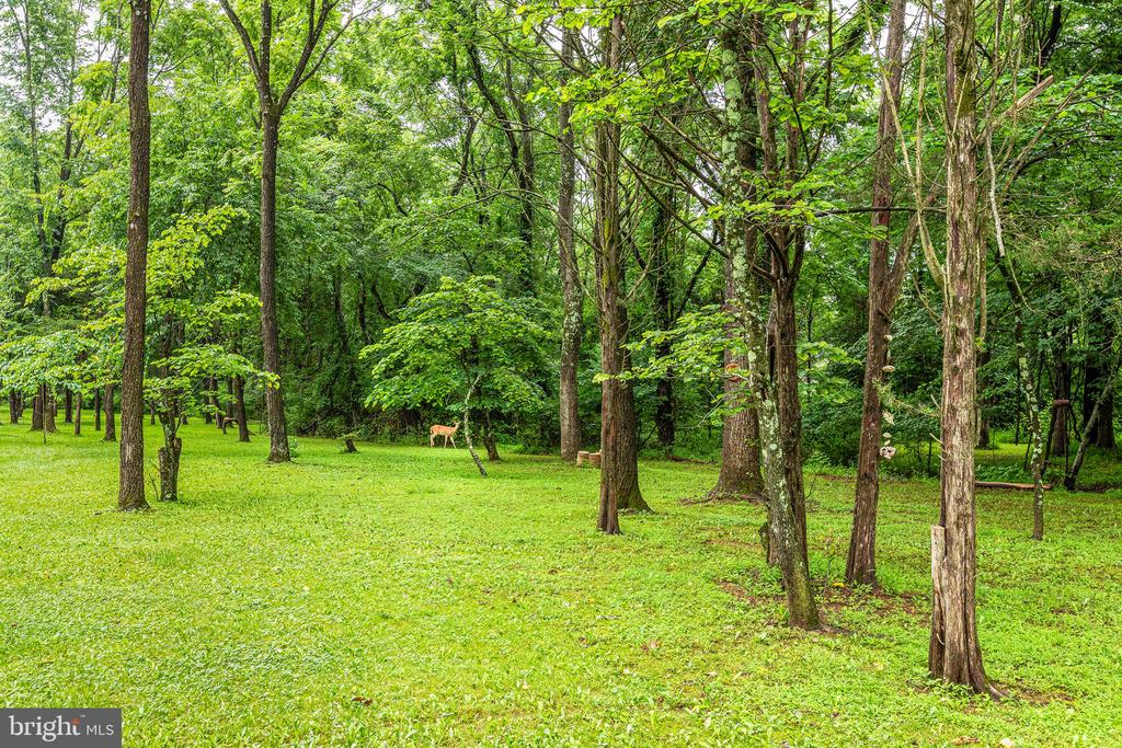 9071 OLD CULPEPER RD, WARRENTON, Virginia 20186, 3 Bedrooms Bedrooms, ,3 BathroomsBathrooms,Residential,9071 OLD CULPEPER RD,VAFQ2017082 MLS # VAFQ2017082