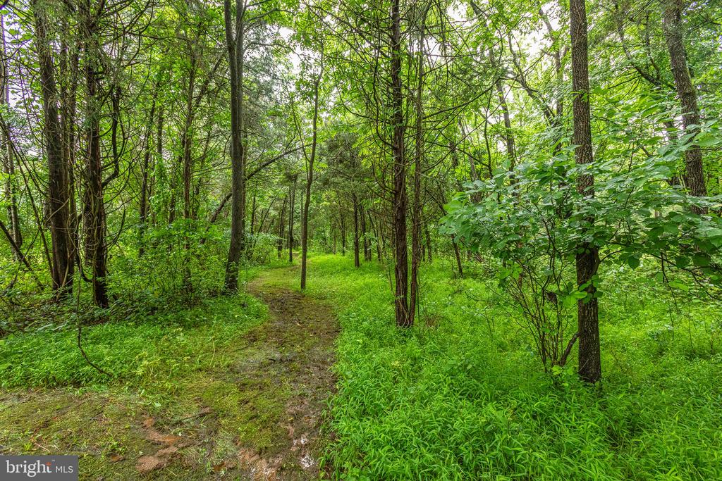 9071 OLD CULPEPER RD, WARRENTON, Virginia 20186, 3 Bedrooms Bedrooms, ,3 BathroomsBathrooms,Residential,9071 OLD CULPEPER RD,VAFQ2017082 MLS # VAFQ2017082